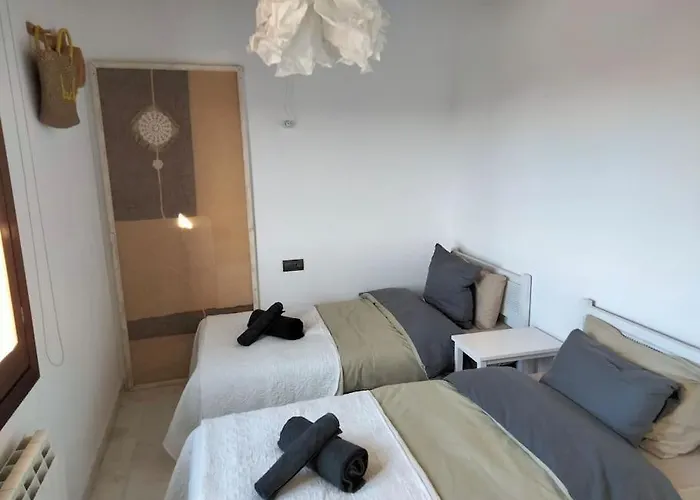 Amor קאלה מורל